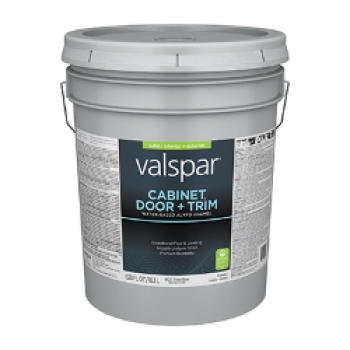 Valspar Corp 028.0081001.008