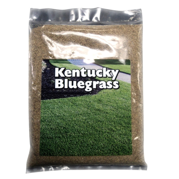 Country Boy Seed Inc 50LBKYBLGRS