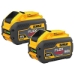 Dewalt DCB609-2