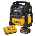 Dewalt DCC2520T1