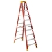 Werner Ladder Company 6210