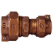 Legend Valve & Fittings 313-253NL