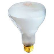 Indoor Flood/Spot Bulbs