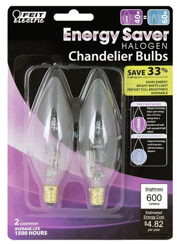 Decorative Bulbs