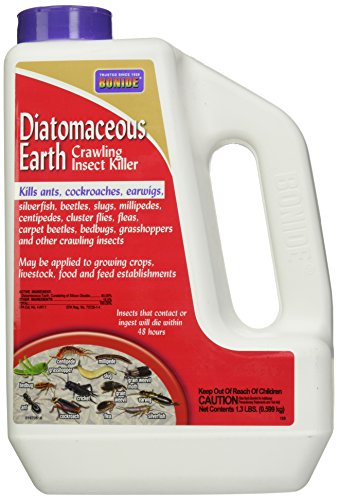 Insecticides Lawn Dry