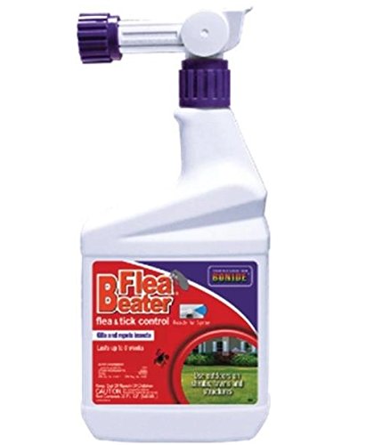 Insecticides Lawn Ready to Use