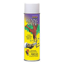 Pruning Sealer