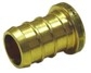 NDL Industries BRPTEST-12 3/4 in Brass Pipe Plug