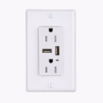 CYBER TECH LIGHTING OT2-2USB 2 SOCKET WALL OUTLET WITH 2 USB'S, 3.1 AMP