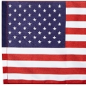 Valley Forge Flag USGF-C 18 in 12 in Rectangular American Flag