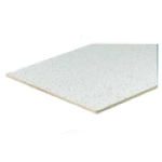 USG™ 829930 R2310 RADAR™ BASIC 2 ft 4 ft 5/8 in Ceiling Tile