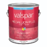 Medallion Plus Exterior Flat - Clear Base Gallon