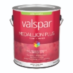 Medallion Plus Exterior Satin - Clear Base Gallon