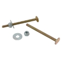 Keeney Plumb Pak PP835-14 1/4 in x 3-1/2 in (2) Bolts, (2) Nuts, (2) Washers Brass Toilet Bolt Set