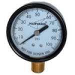 American Granby EIPG1002-4LNL 1/4 in MNPT Steel Dry Pressure Gauge