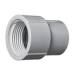 American Granby 2435-007 3/4 in x 3/4 in Slip Joint x FNPT Chlorinated PVC Female Adapter