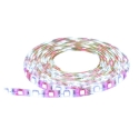 BAZZ U183MRGBWWF 120 V 60 W 10 ft Cord Light Strip