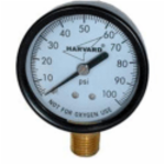 American Granby EIPG2002-4LNL 1/4 in MNPT Stainless Steel Dry Pressure Gauge