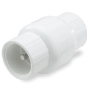 NDS 1001-10 1 in IPS FPT PVC Spring Check Valve