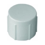 Charlotte Pipe PVC 02117 1000HA 3/4 in FIP PVC Pipe Cap