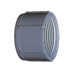 Charlotte Pipe PVC 02117 1600HA 1-1/2 in FIP PVC Pipe Cap