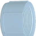 Charlotte Pipe PVC 02117 1800HA 2 in FIP PVC Pipe Cap