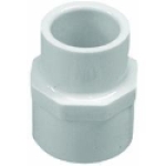 Genova 30376 3/4 in x 3/4 in Slip Joint x FIP PVC Reducing Adapter