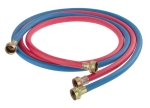 Oatey Harvey 093220 3/4 in Female Red/Blue Washing Machine Hose