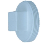 Charlotte Pipe PVC 00106 0800HA 2 in MPT PVC DWV Cleanout Plug