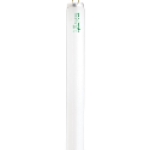 SATCO® NUVO® S6637 40 W 2550 Lumens G13 Medium Bi-Pin Cool White Linear Fluorescent Light Bulb