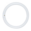 SATCO® NUVO® S6500 22 W 1120 Lumens 4-Pin G10q Cool White Circline Fluorescent Light Bulb