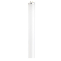 SATCO® NUVO® S26565 20 W 1200 lumens G13 Medium Bi-Pin Cool White Fluorescent Light Bulb