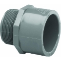 Charlotte Pipe PVC 08109 0800HA 3/4 in Slip x MIP PVC Male Adapter