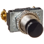 NSI 76065PS 125 V 3 A SPST Pushbutton Switch