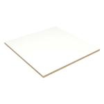 Roland Boulanger & Cie Ltee P22WHB 2 ft 2 ft 1/4 in Ceiling Tile