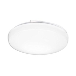 Acuity Brands Lithonia Lighting® FMLRL 14 20840 M4 120 V 24 W 1600 Lumens Round Flush light