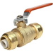 Cash Acme Sharkbite 22185-0000LF 3/4 in SharkBite DZR Brass Ball Valve